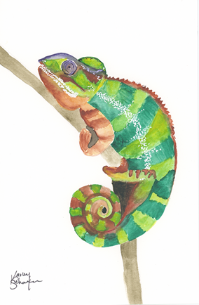 Karley-Schaefer-Chameleon